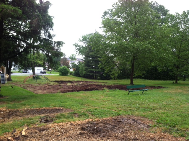 plumtree park 6 3 13 2